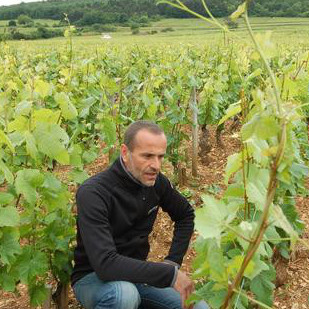 Domaine Coillot